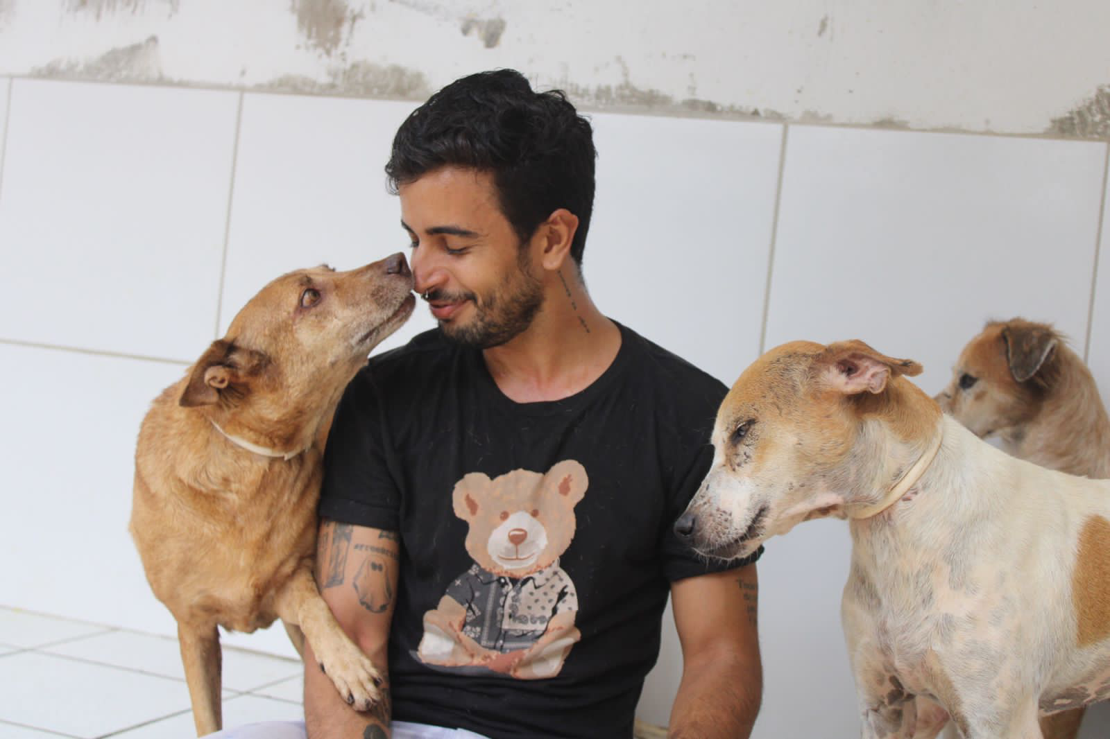 Apollo com animais resgatados